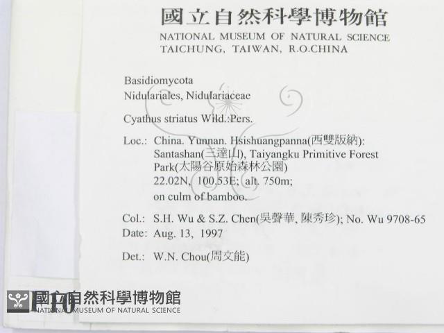 登錄號:F0010117藏品圖，第2張