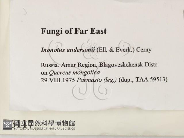 登錄號:F0006117藏品圖，第2張