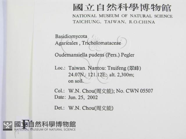 登錄號:F0016117藏品圖，第2張