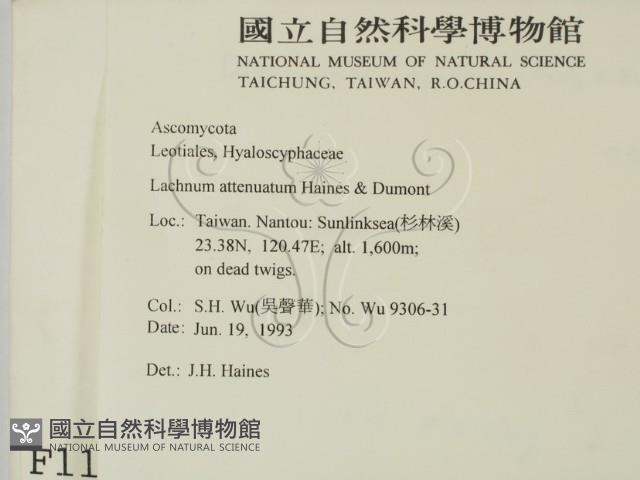 登錄號:F0001117藏品圖，第2張