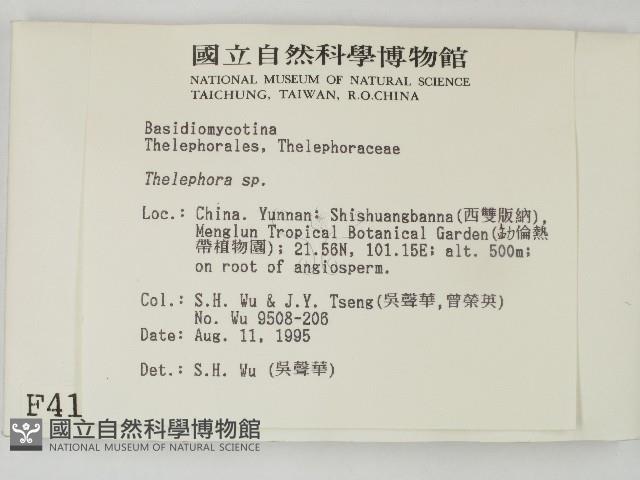 革菌屬藏品圖，第2張