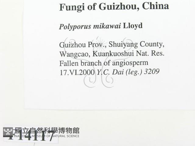 登錄號:F0014117藏品圖，第2張