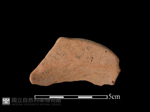 連杯形器藏品圖，第2張