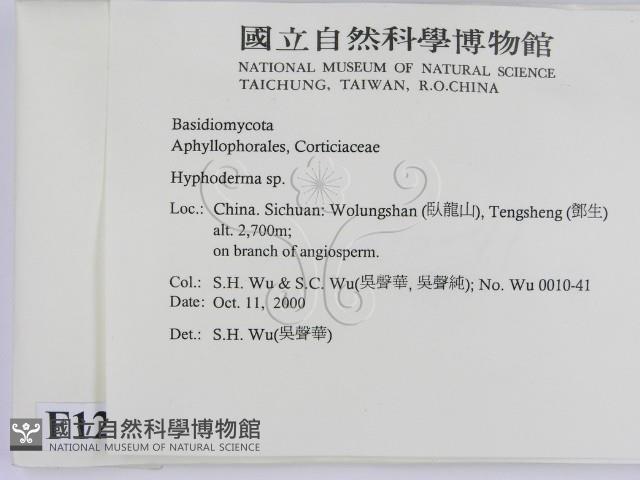 絲皮菌屬藏品圖，第2張
