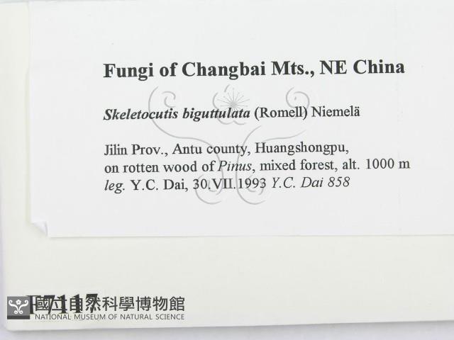 登錄號:F0007117藏品圖，第2張