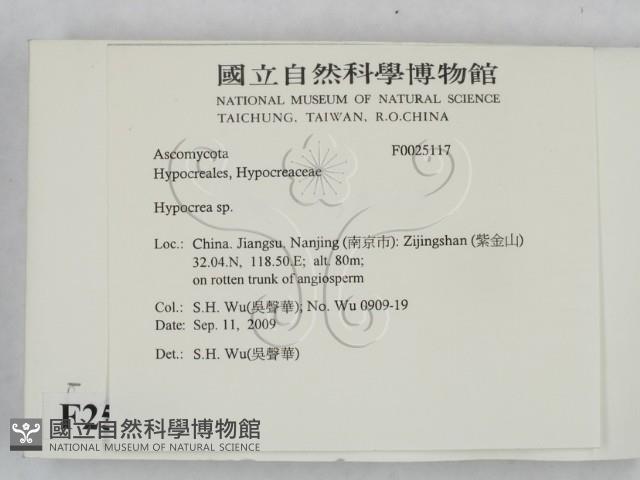 登錄號:F0025117藏品圖，第2張