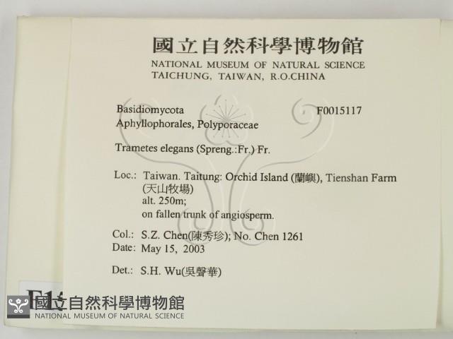 登錄號:F0015117藏品圖，第2張