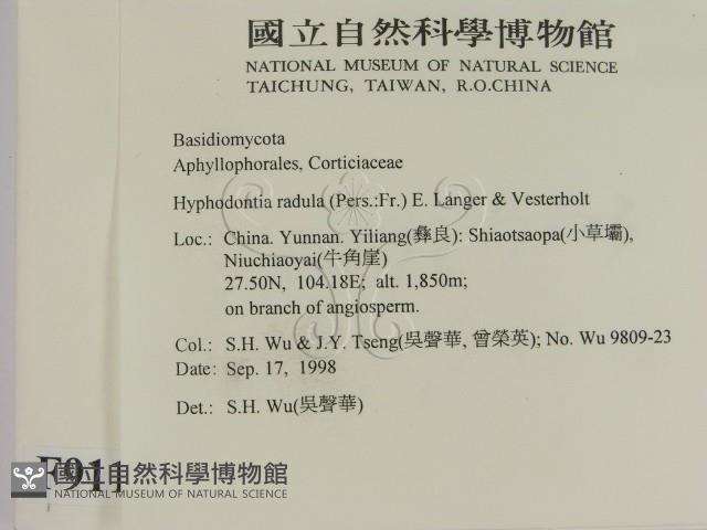 登錄號:F0009117藏品圖，第2張