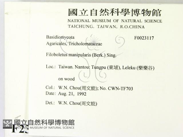 登錄號:F0023117藏品圖，第2張