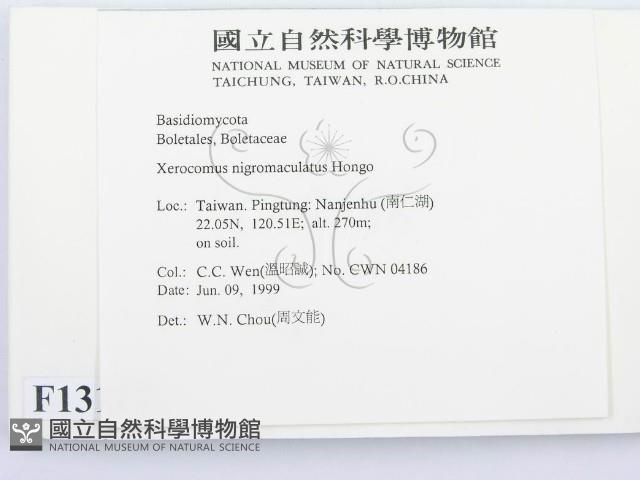 登錄號:F0013117藏品圖，第2張