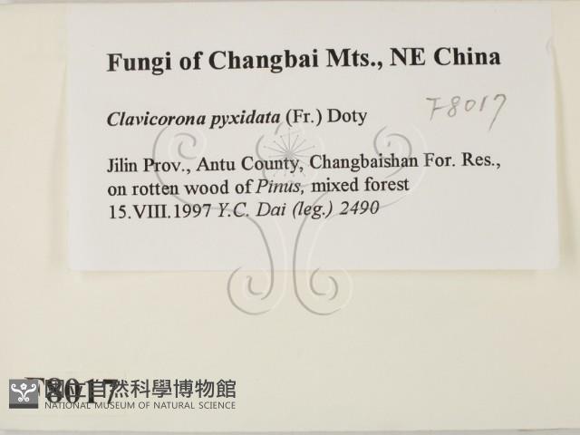 登錄號:F0008017藏品圖，第2張