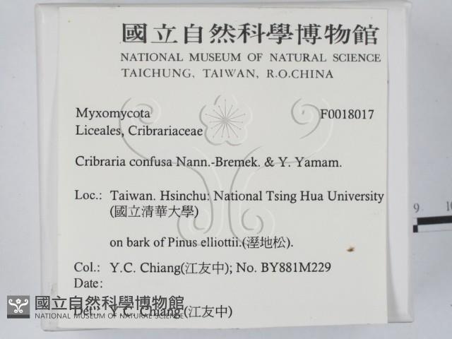 登錄號:F0018017藏品圖，第2張