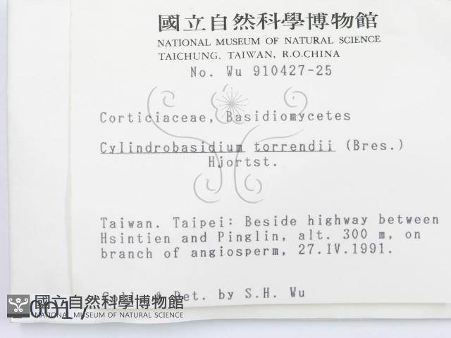 登錄號:F0000017藏品圖，第2張