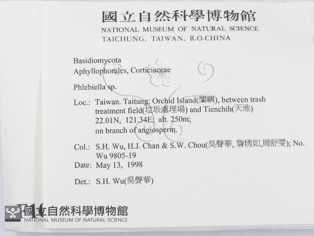 登錄號:F0010017藏品圖，第2張
