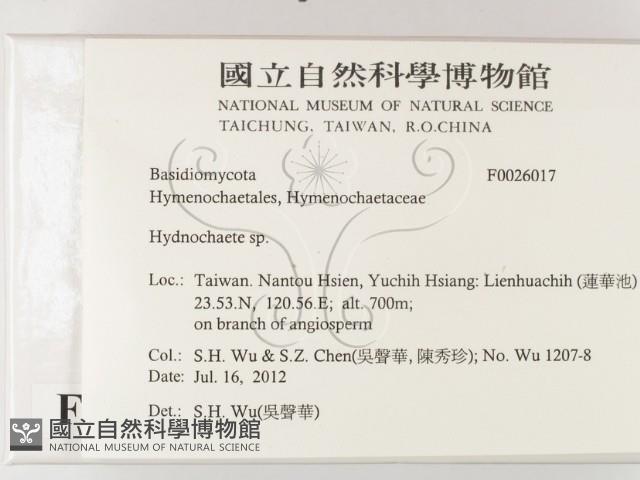 登錄號:F0026017藏品圖，第2張