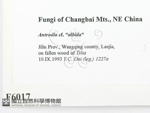 登錄號:F0006017藏品圖，第2張