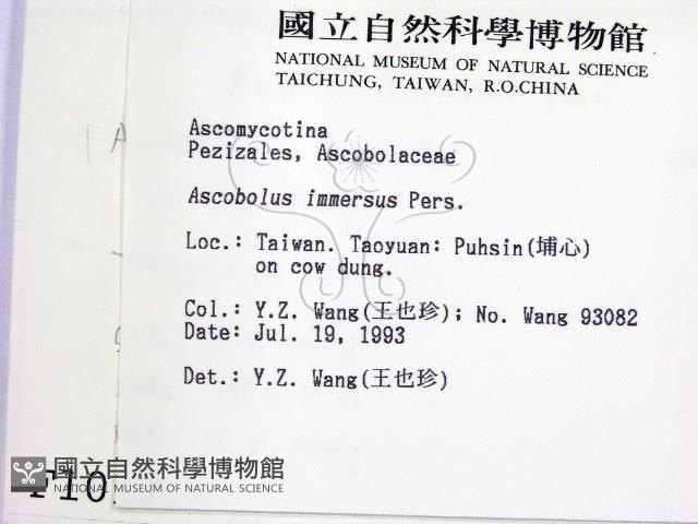 館號:F0001017藏品圖，第2張