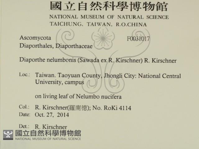 登錄號:F0031017藏品圖，第2張