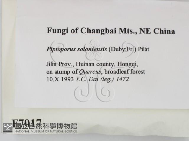 登錄號:F0007017藏品圖，第2張