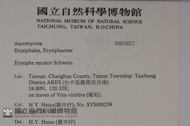 登錄號:F0035017藏品圖，第2張