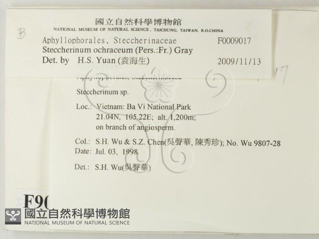 登錄號:F0009017藏品圖，第2張