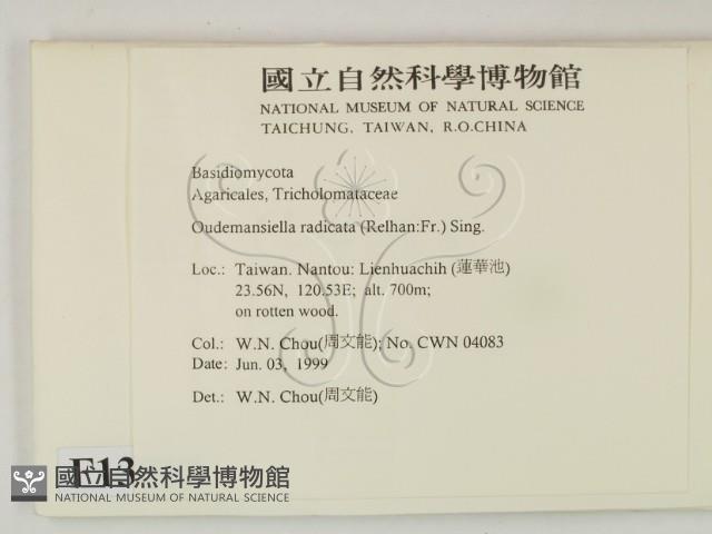 登錄號:F0013017藏品圖，第2張