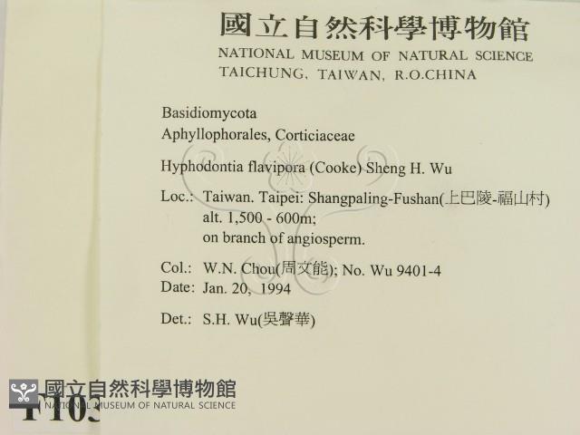 登錄號:F0010317藏品圖，第2張