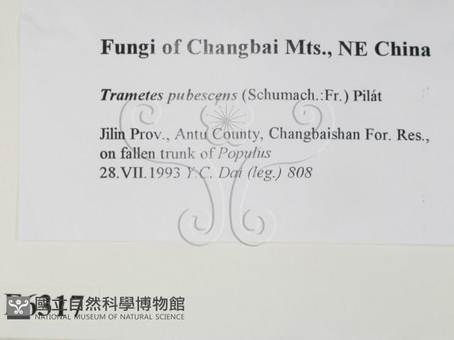 登錄號:F0006317藏品圖，第2張