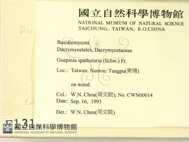 登錄號:F0001317藏品圖，第2張