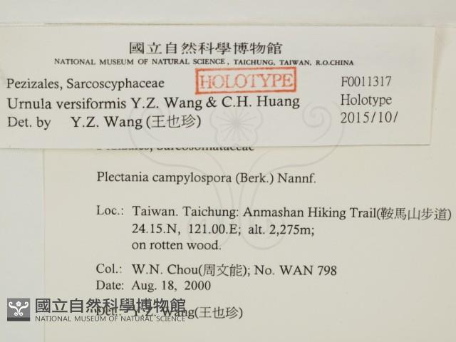 登錄號:F0011317藏品圖，第2張