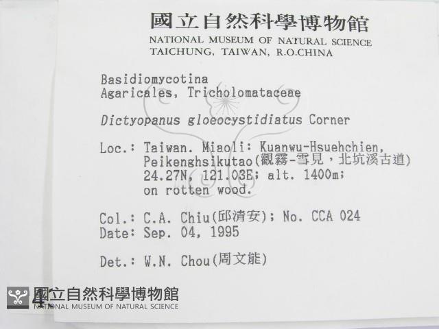 登錄號:F0004317藏品圖，第2張