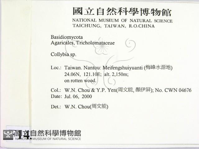 登錄號:F0014317藏品圖，第2張