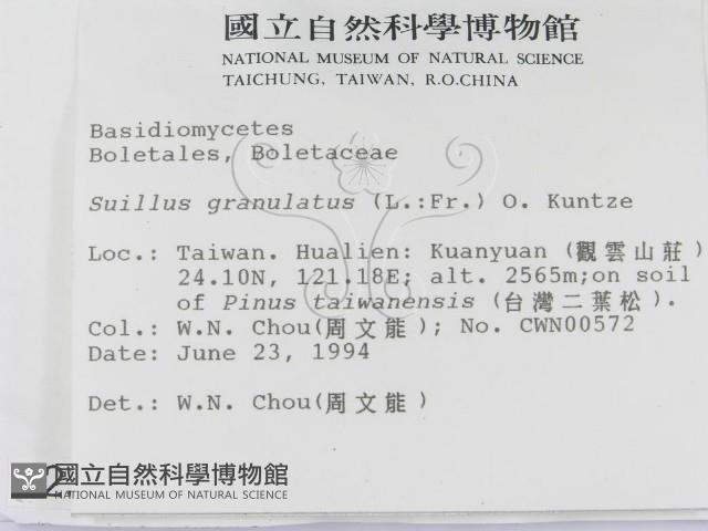 登錄號:F0002317藏品圖，第2張