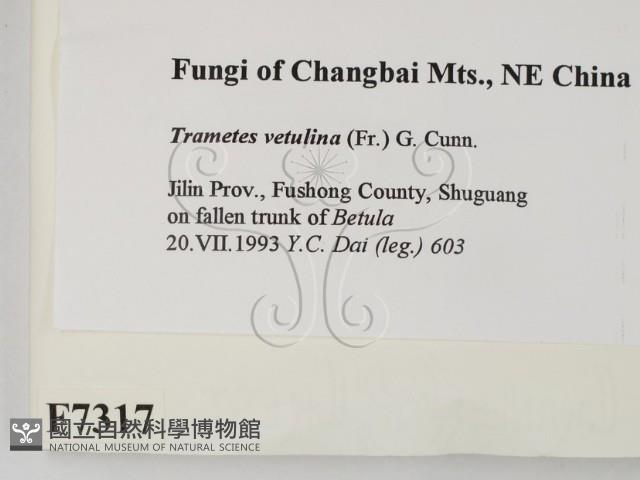 登錄號:F0007317藏品圖，第2張