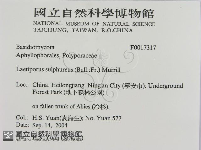 登錄號:F0017317藏品圖，第2張
