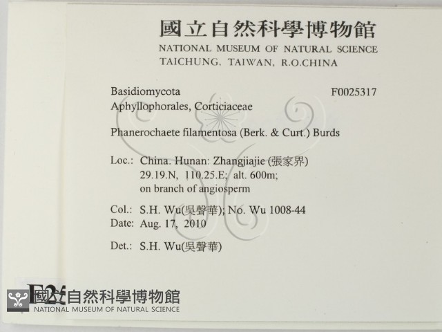 登錄號:F0025317藏品圖，第2張
