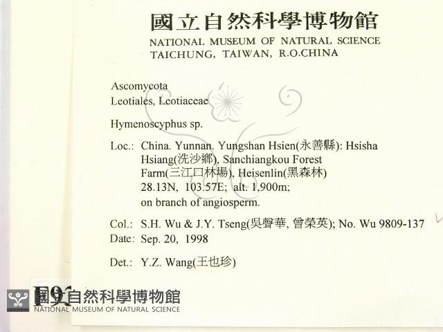 登錄號:F0009317藏品圖，第2張