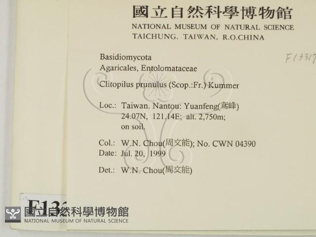 登錄號:F0013317藏品圖，第2張