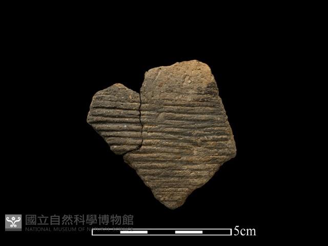 陶片藏品圖，第1張