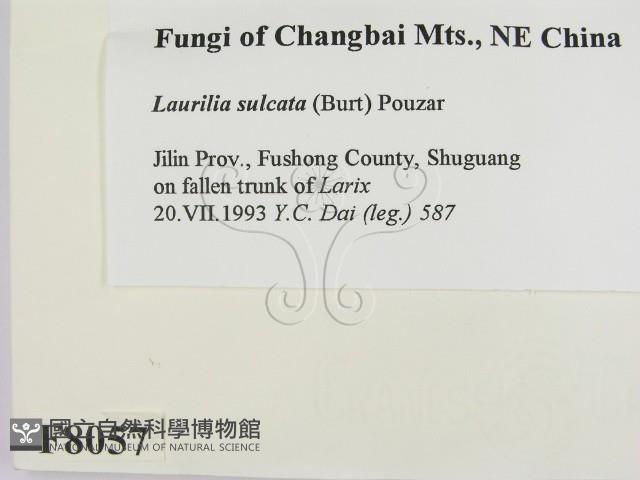 登錄號:F0008057藏品圖，第2張