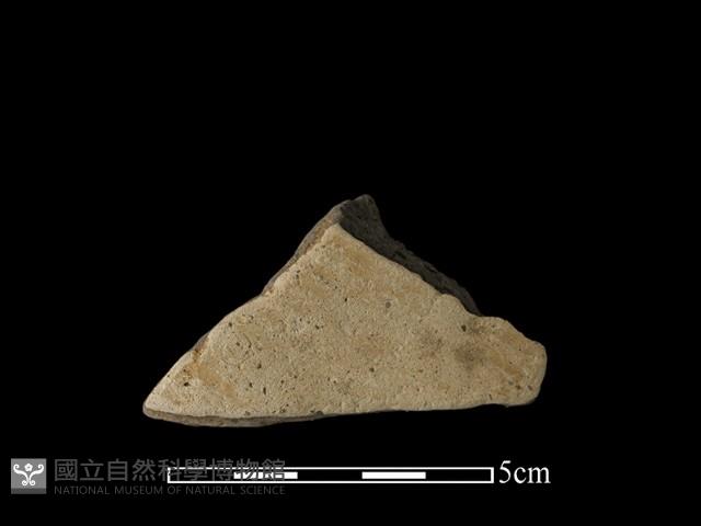 陶片藏品圖，第2張