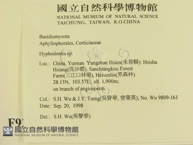 登錄號:F0009247藏品圖，第2張