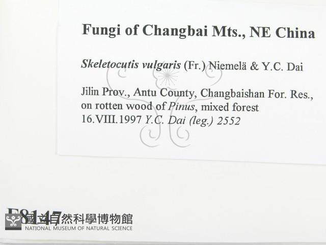 登錄號:F0008147藏品圖，第2張