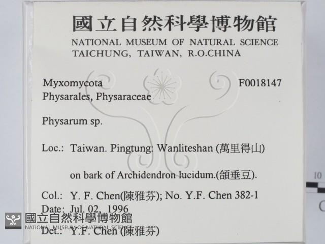 登錄號:F0018147藏品圖，第2張