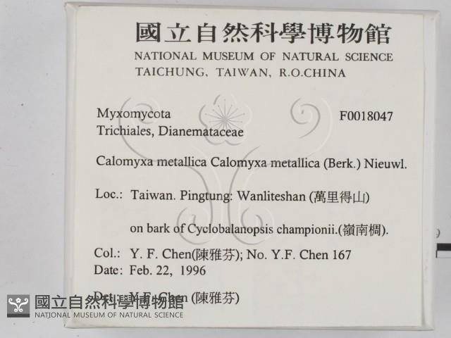 登錄號:F0018047藏品圖，第2張