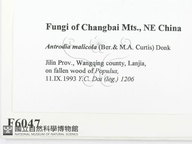 登錄號:F0006047藏品圖，第2張