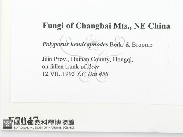 登錄號:F0007047藏品圖，第2張