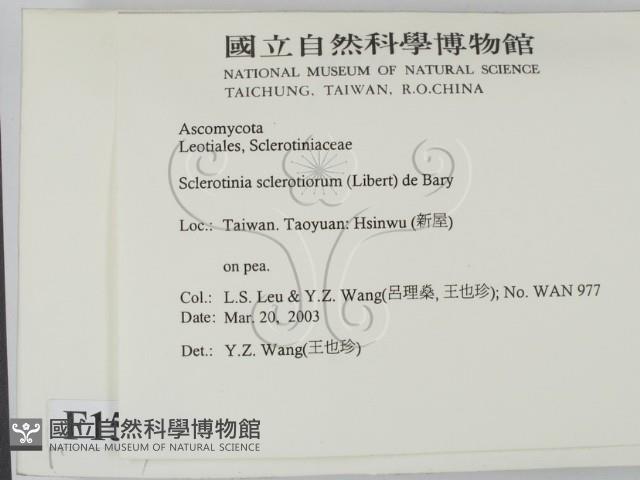 登錄號:F0015047藏品圖，第2張