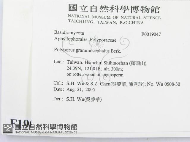 登錄號:F0019047藏品圖，第2張