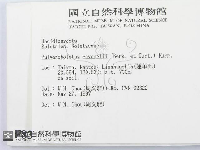 登錄號:F0008347藏品圖，第2張